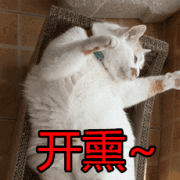 积分初次达到10000